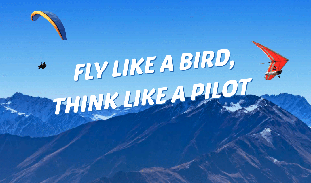 Fly Like a Bird, Think Like a Pilot